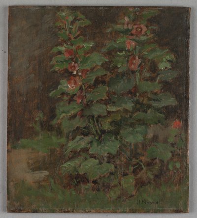 Flowers by Hugh Newell